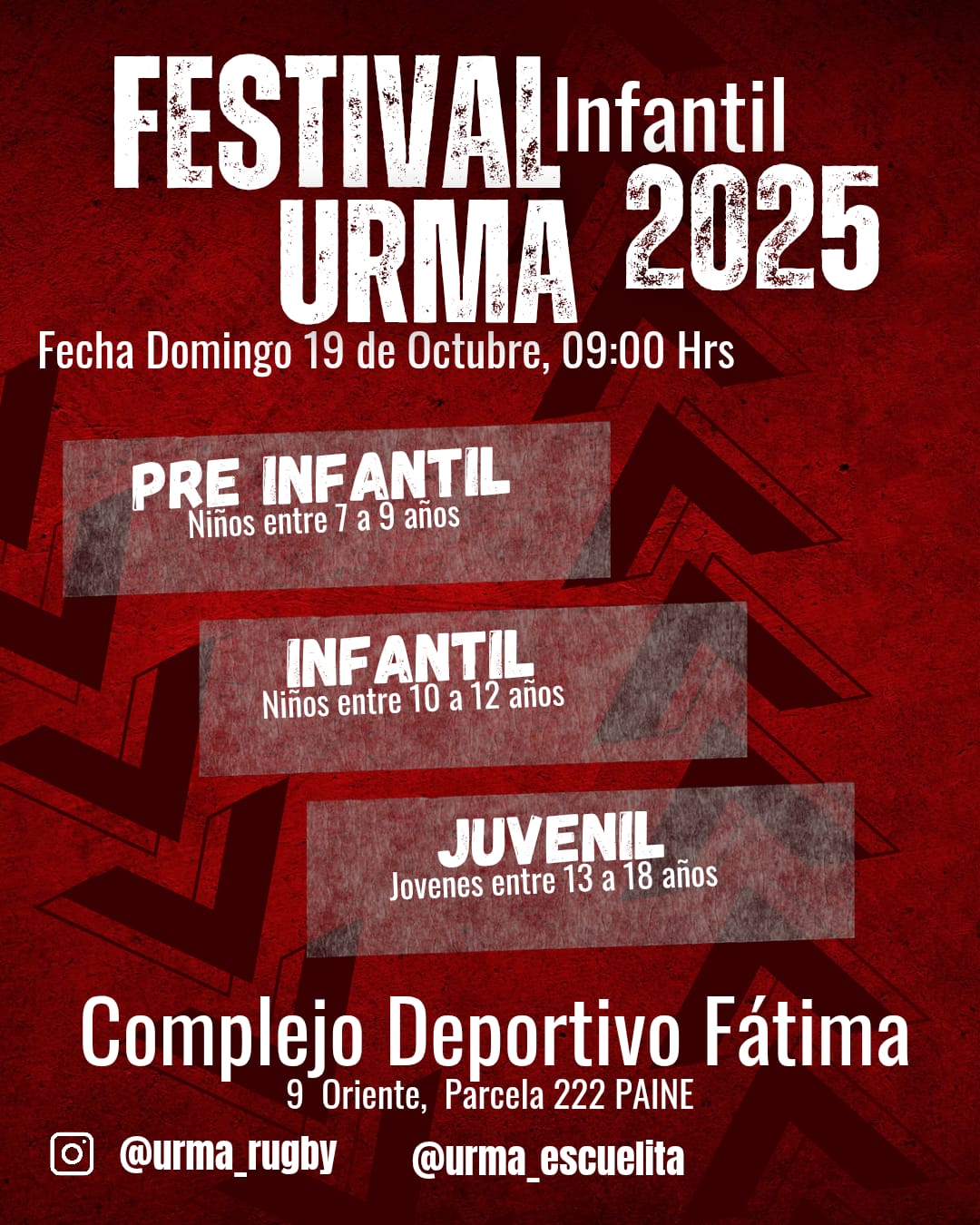 Destacado: Festival de Rugby Infantil URMA 2025 en Paine